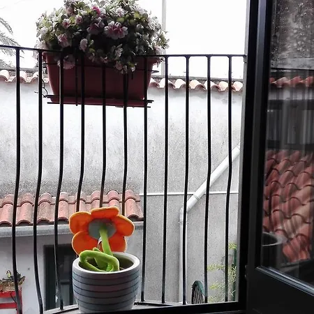 Casa Vacanza La Palma * Viagrande